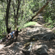 Illustration for article titled A hike with Toby and Mrs. IM at Willow Creek. (Angel Falls)